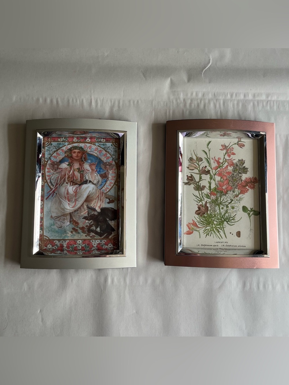 Silver & Rose Tone Resin Picture Photo Frames w/ Fine Art Prints-Set of 2